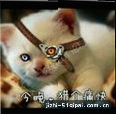 孙速